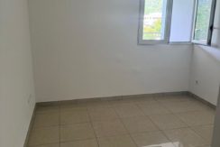 256131655658694