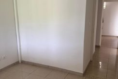 256131655658697